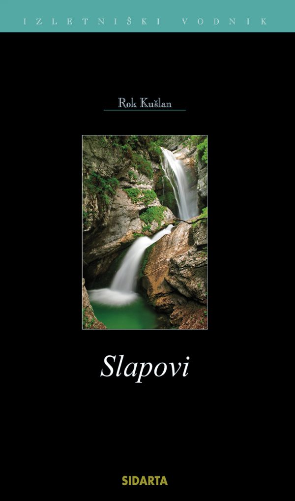 slapovi_2008_ naslovnica_lr